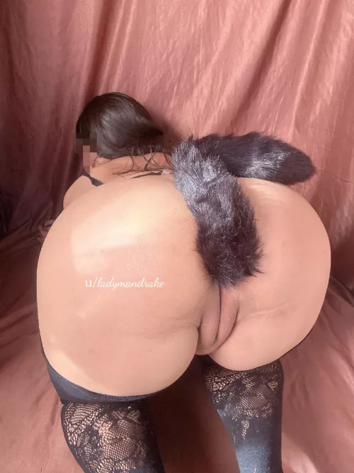 Is buttcheeks one word or should you spread them apart