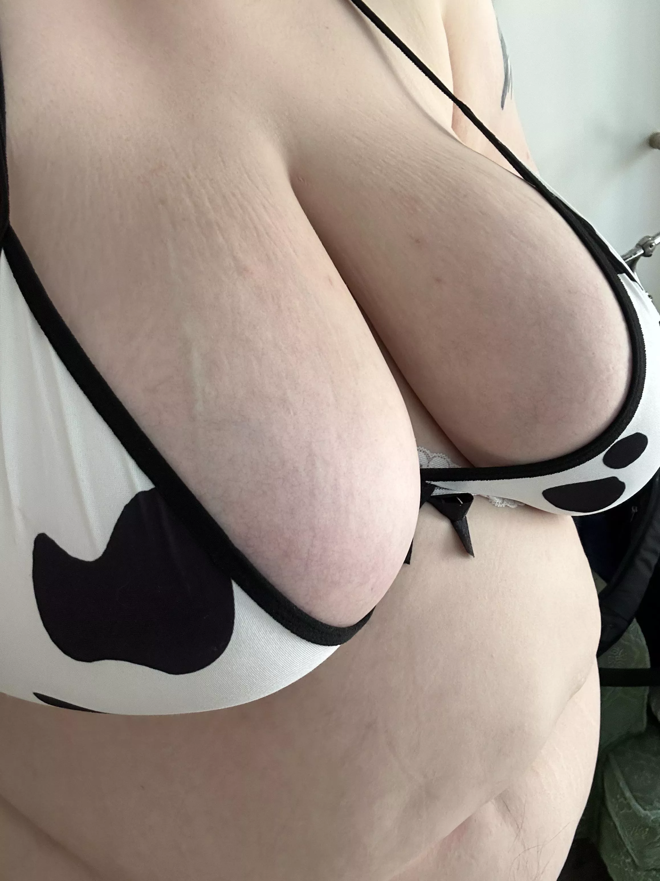 Just started a two week vacation and itching for something to do