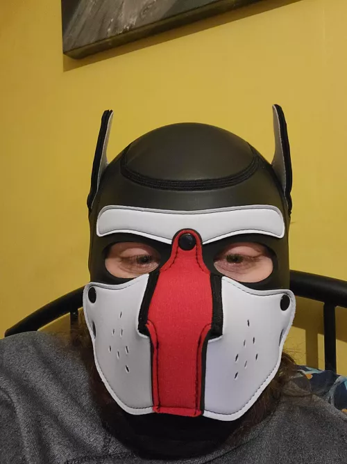 New hood just arrived! how do I look?