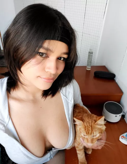 petting my spoiled cat  