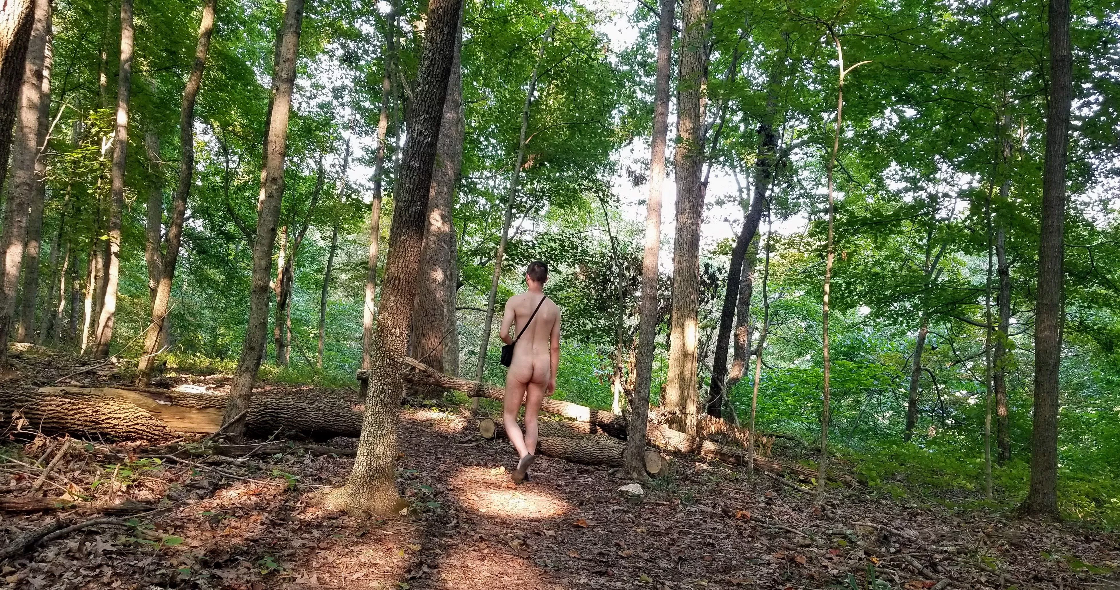 Pleasant hump day adventures to everyone