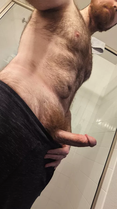 Preferred way to spend a lunch break when working from home