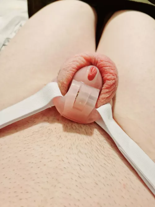 Smaller cage is so much more comfortable and humiliating 🤏🔐