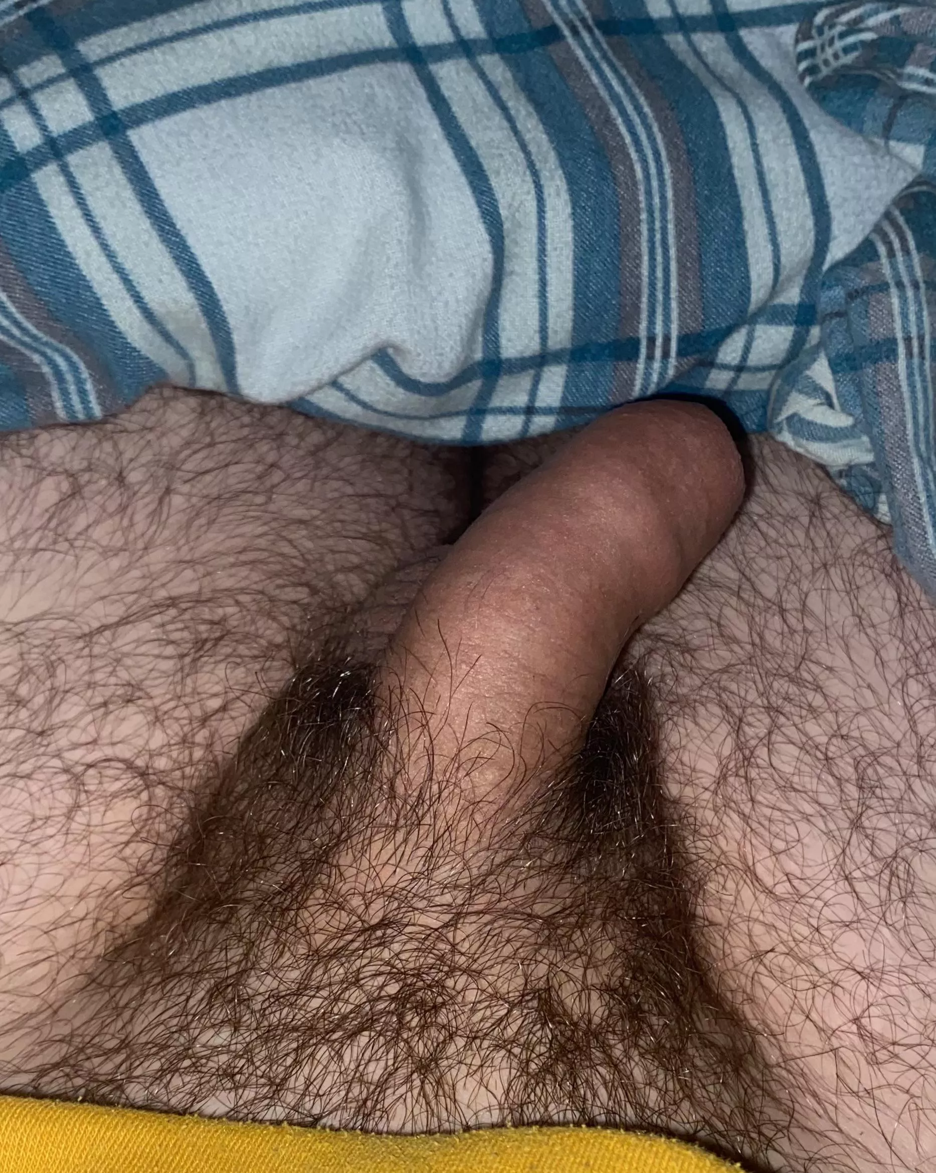 Soft and Hairy 🥹💜