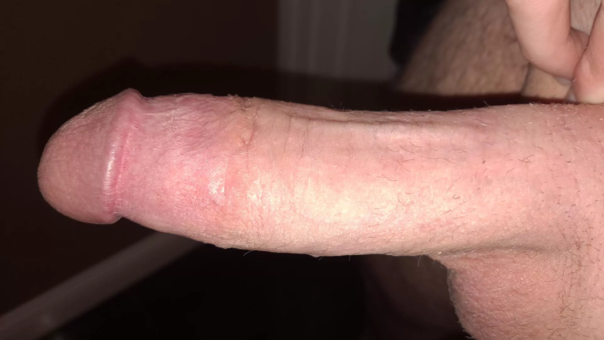 Stfu and stfd bitches~ Dms open