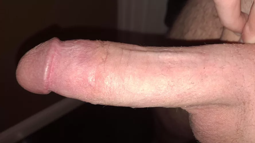 Stfu and stfd bitches~ Dms open