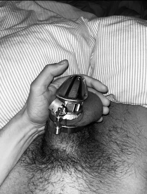 Third night with the cage on, starting to get used to it 🔐