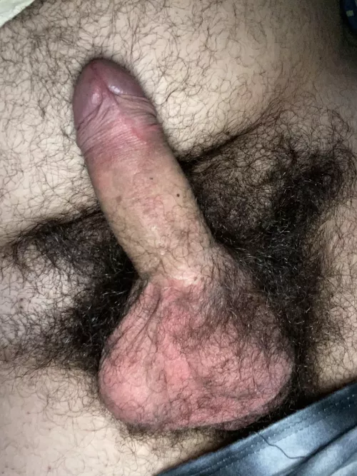 Thoughts on my hairy uncut cock, balls and bush?