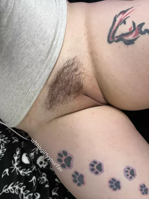 Tidy clean bushy pussy