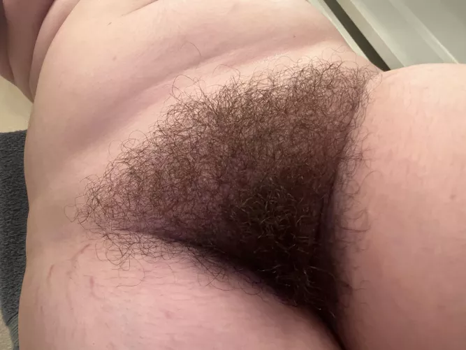 Tongue fuck me till I beg you to stop?