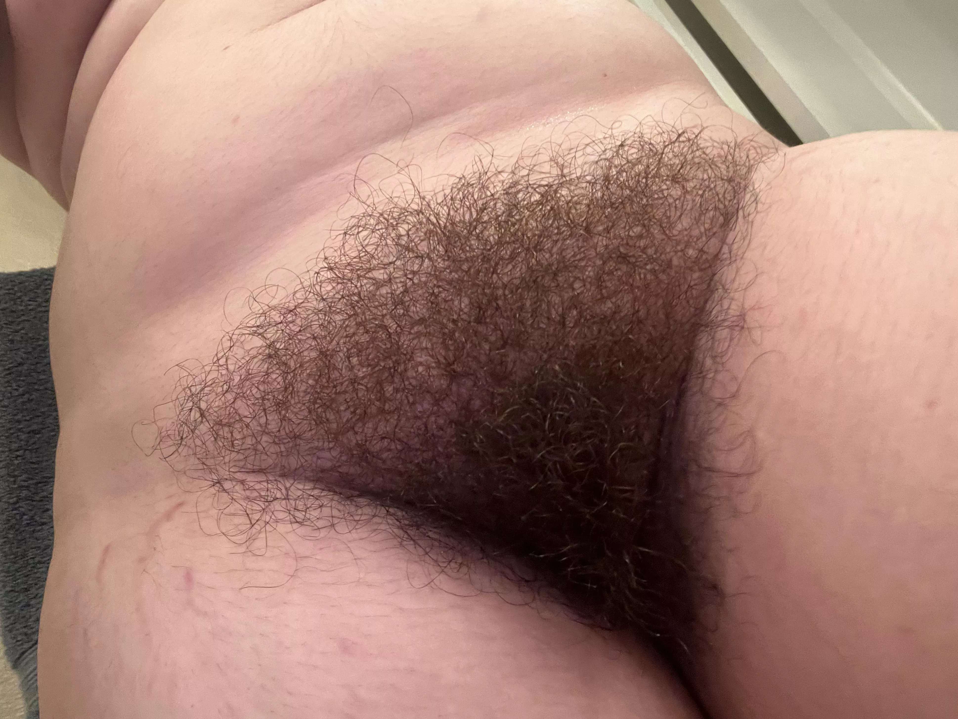 Tongue fuck me till I beg you to stop?