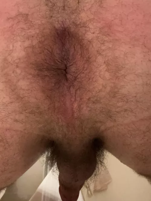 Would you fuck me hard