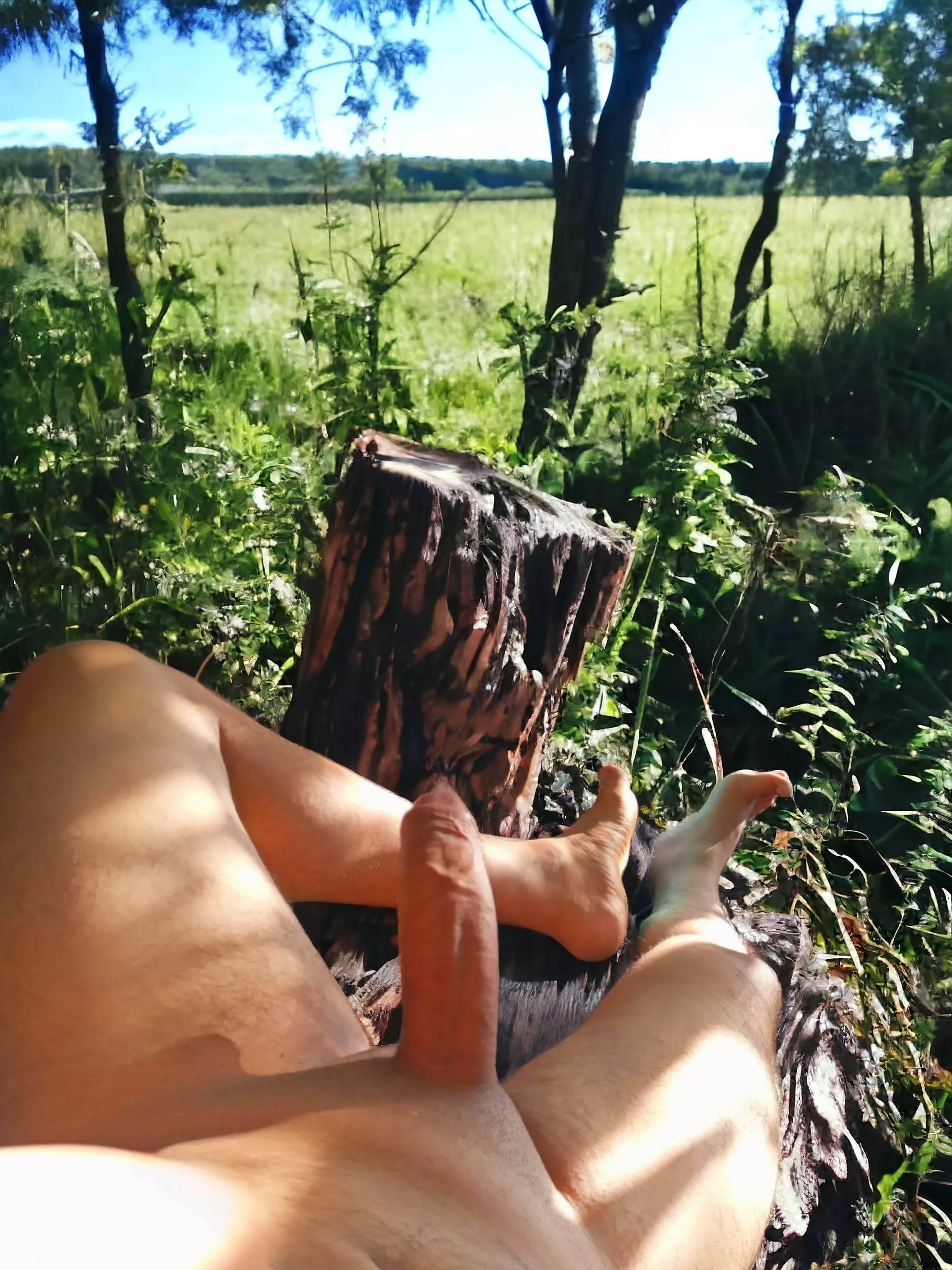 Would you like to yo hiking? 