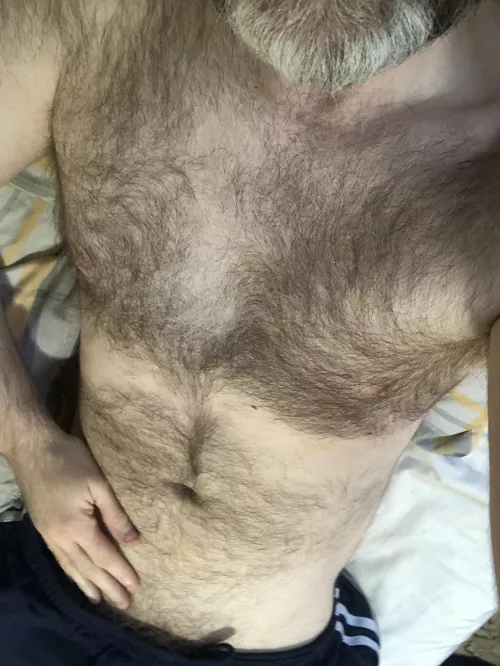 [48] Who likes an English hairy Silver Fox ?