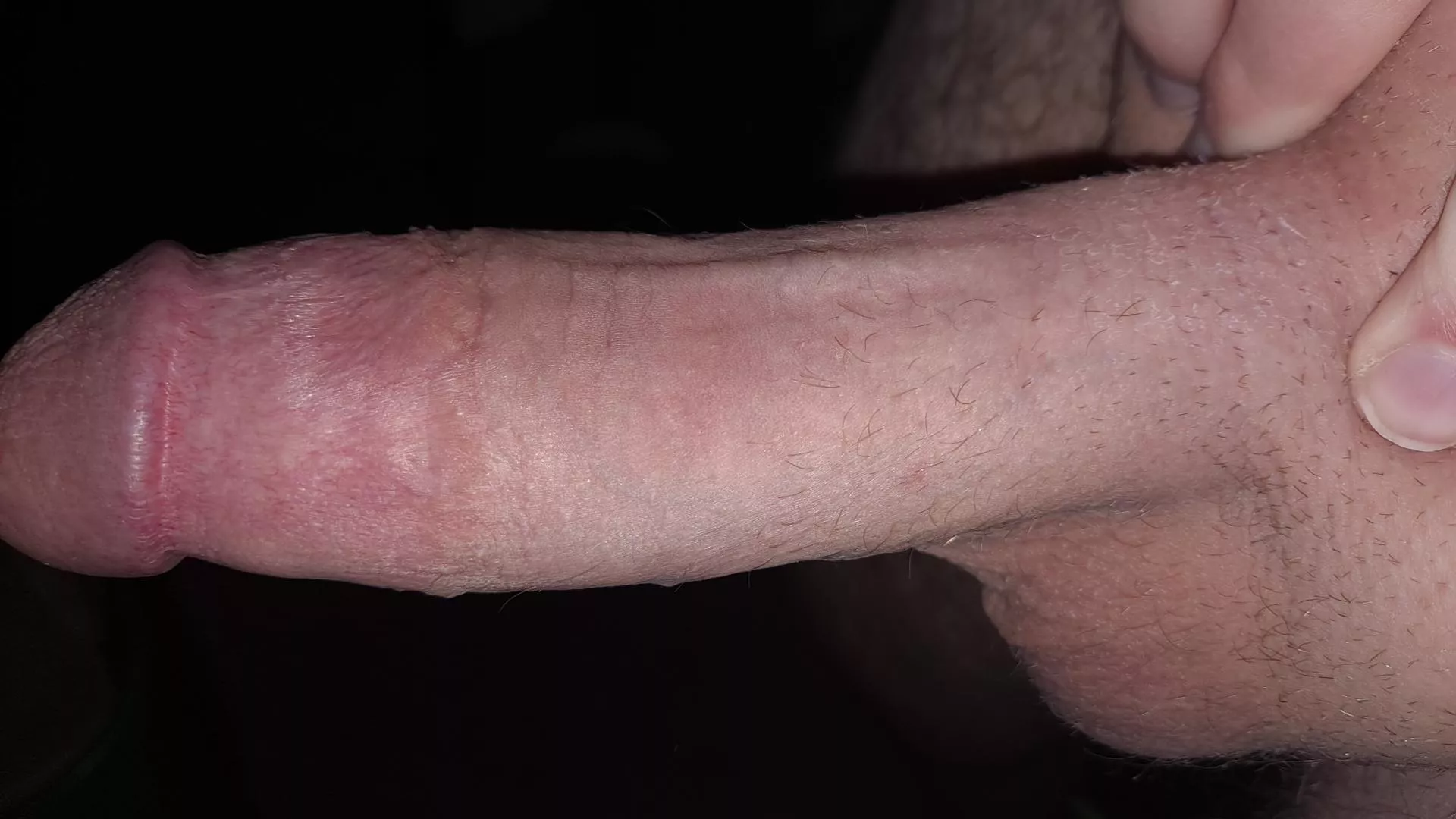 Buckle the fuck up slut~ Dms open