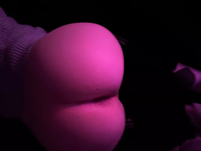 haiii! (say it back or i’ll cry)