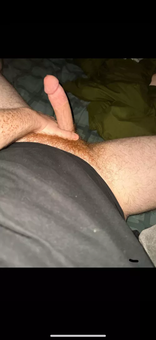 How’s the ginger pubes?
