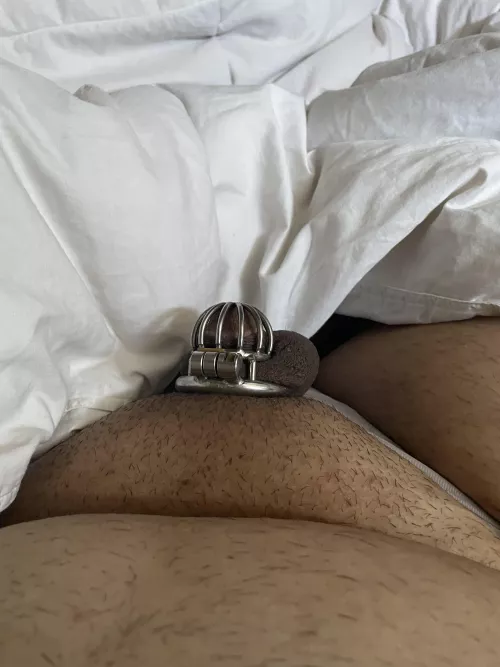 I don’t remember how many days I’ve been locked