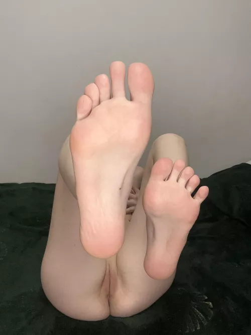 I love having my toes licked