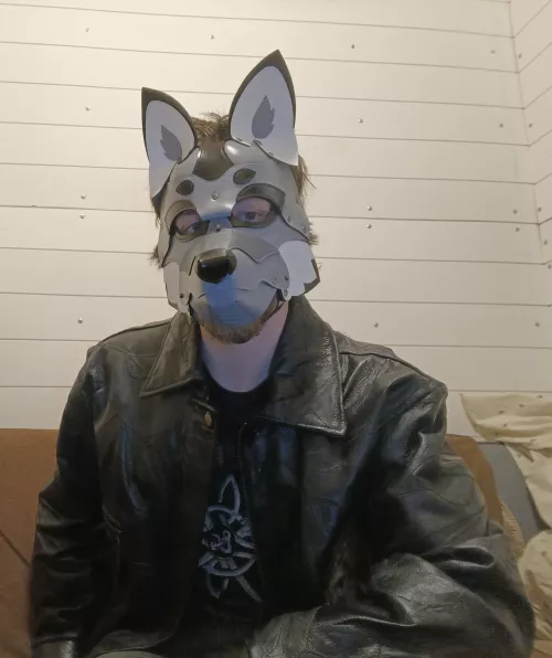 I won't start a howl I promise 😜