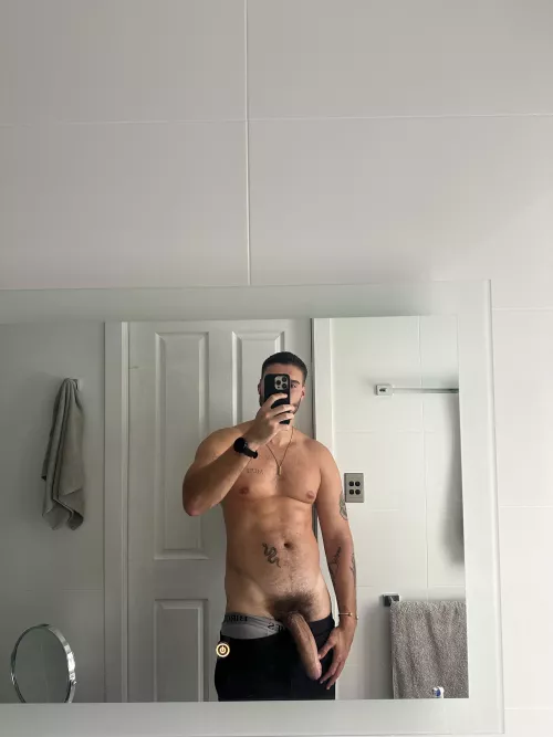 lol why does it look so big 