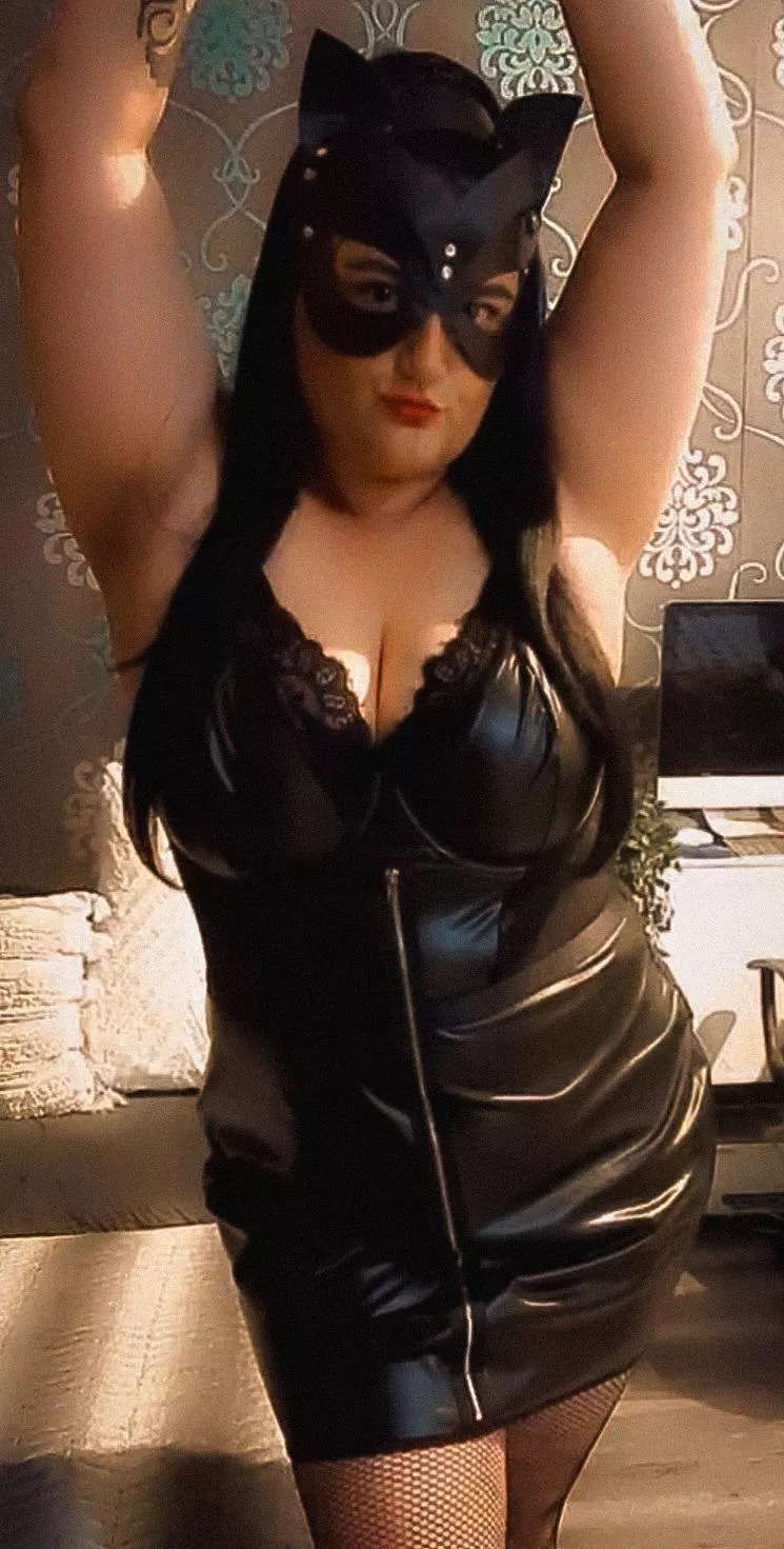 Looking for my next toy