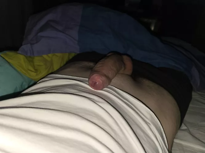 Resting for the night (20)