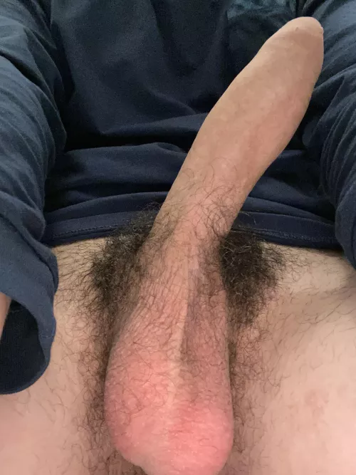 should i shave?