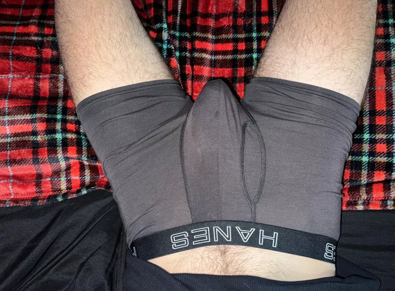 should i take my fat cock out? 