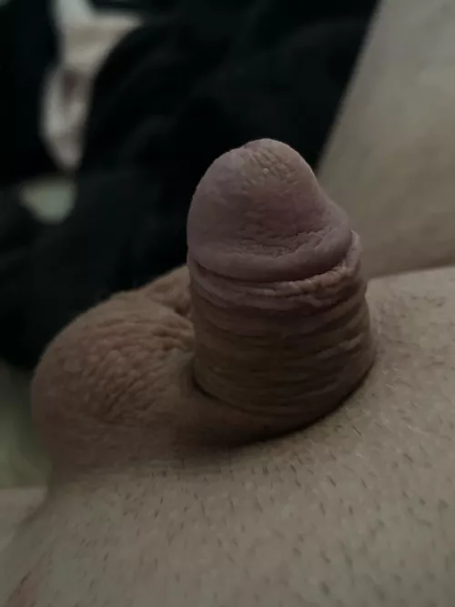 Small sissy waiting for you :)