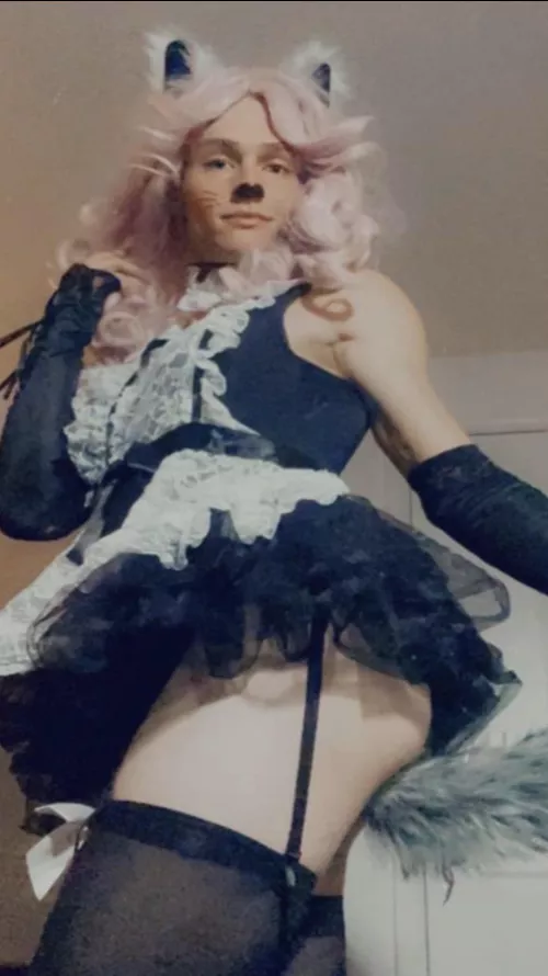 The only way a “guy” should wear cat ears