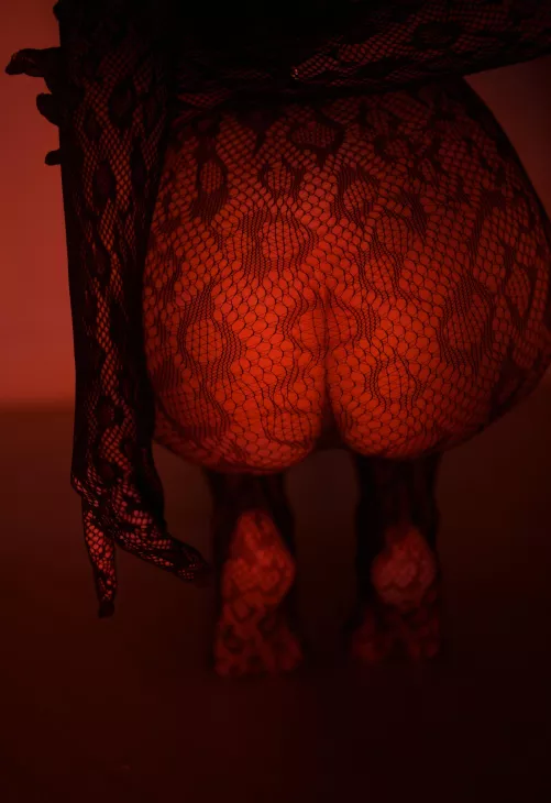 This wild cat will show you what passion is