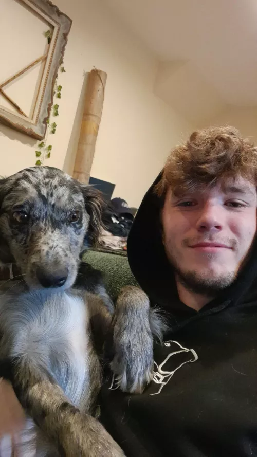 Today's plan: puppy cuddles