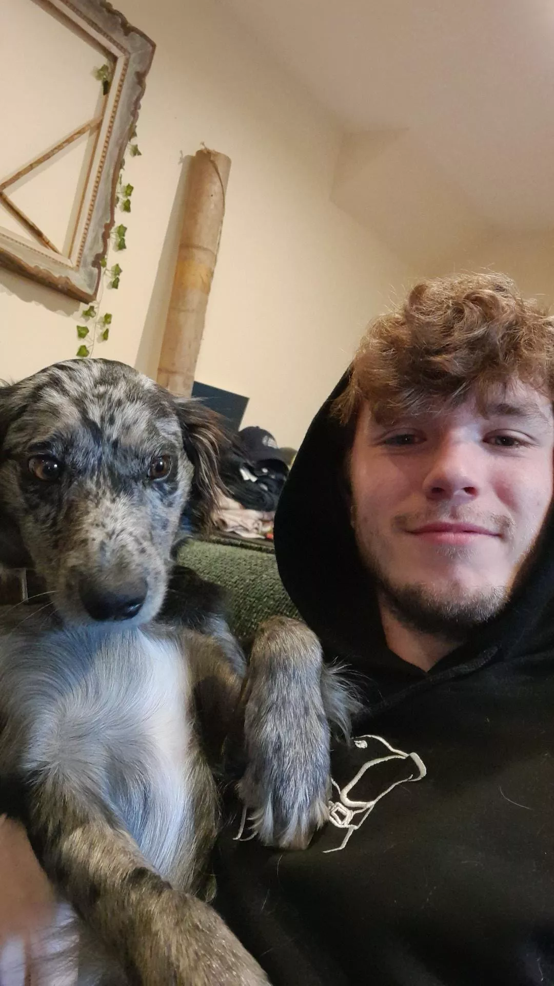 Today's plan: puppy cuddles  Today's plan: puppy cuddles