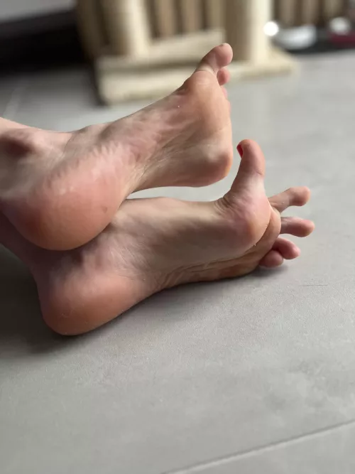 want u to lick them the first night 