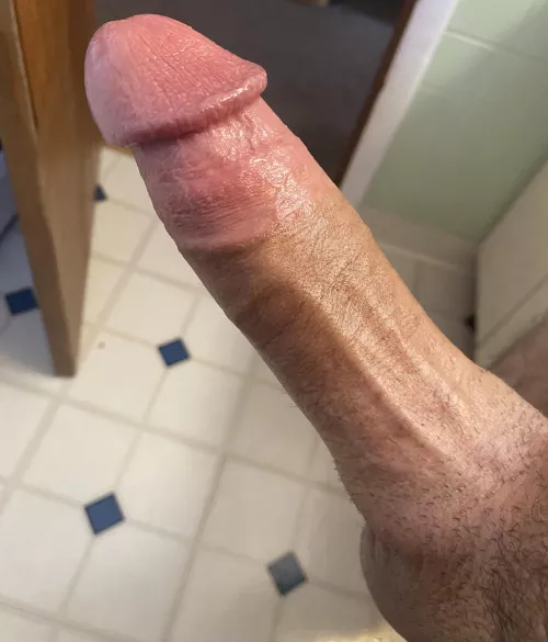 What would you rate my cut?