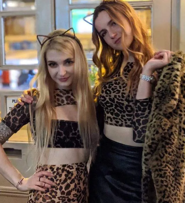  Which sexy cheetah? [2]