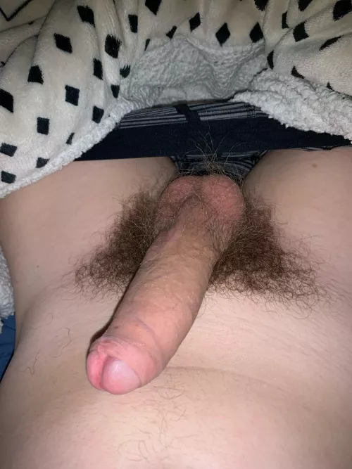18 m uk hmu: bwc182024