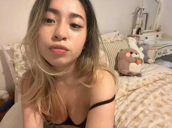 19 year old plushie hoarder lol 