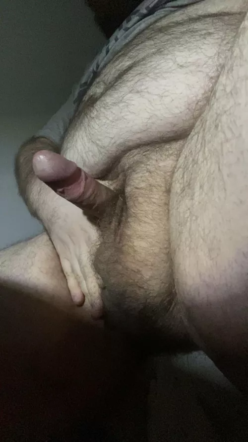 27 need someone to take care of this