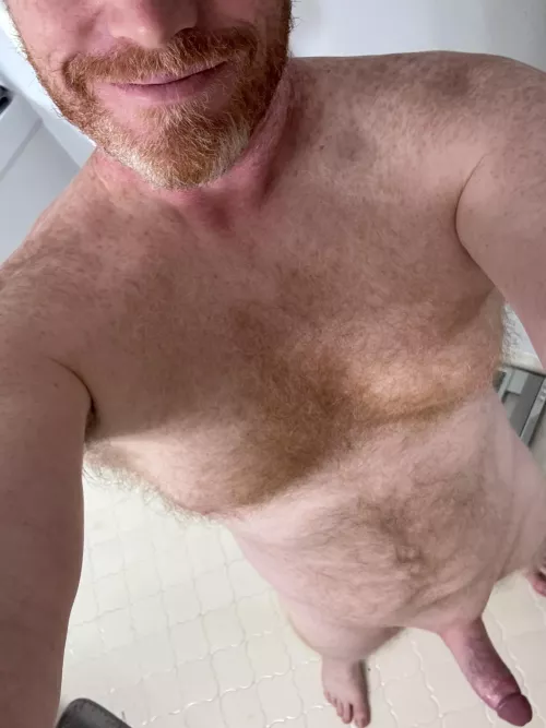 44 Gingerbeard to gingerbreed in Georgia