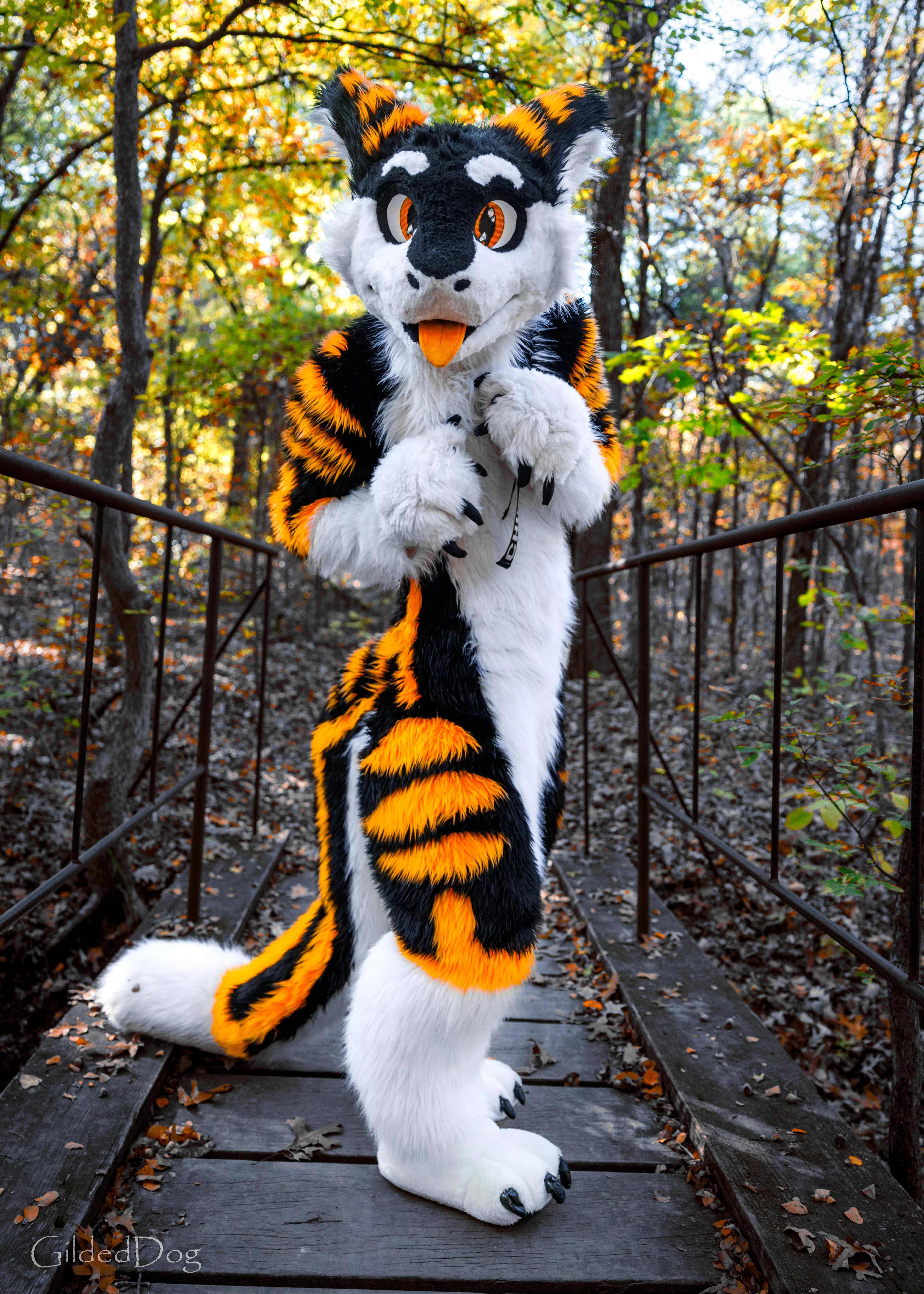 A Serg has appeared on your path! What do you do? :> #FursuitFriday