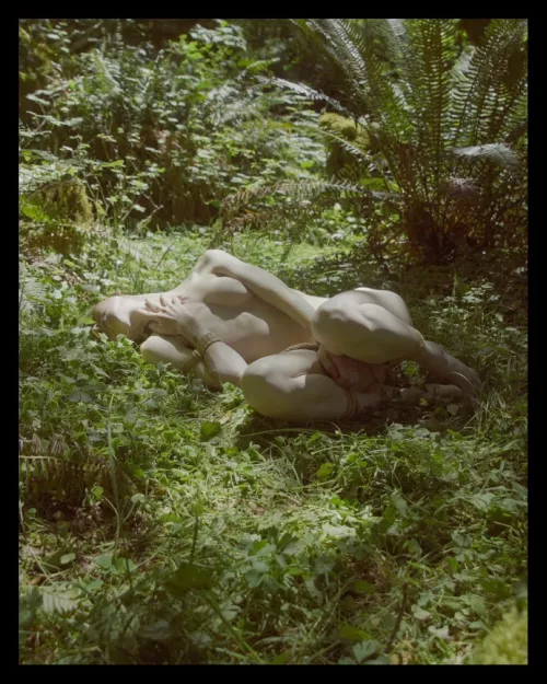 all tied up among the ferns…