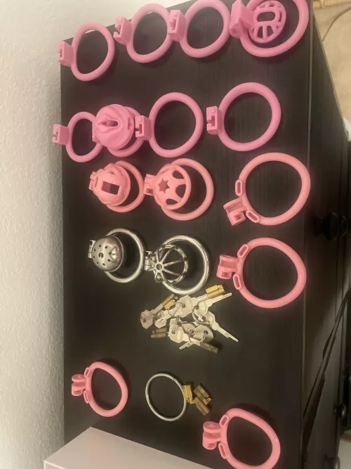 Deciding next cage. Help me 🥰
