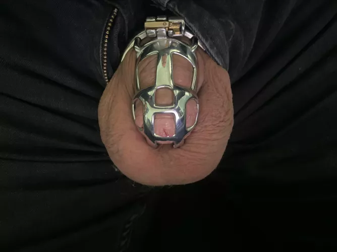 From the 14th of February to the 8th of March