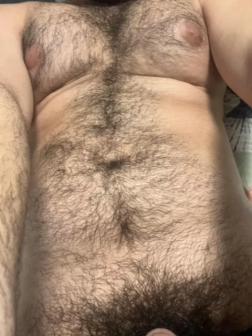 hairy man here