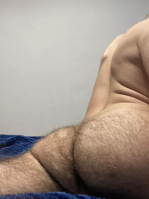 Hairy or not ?(20)