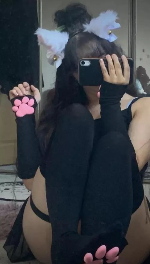 hope u like the cat socks [F]