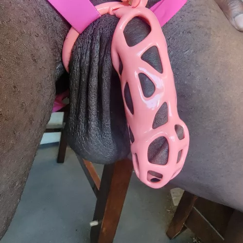 I Finally Got My Cage!