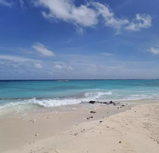 I see skies of blue
And clouds of white
The bright blessed day
The dark sacred night
And I think to myself
What a wonderful world